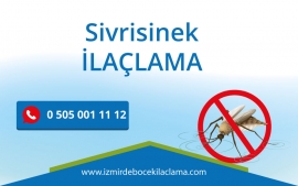 Sivrisinek İlaçlama