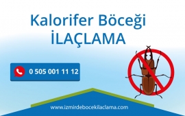 Kalorifer Böceği İlaçlama