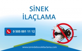 Sinek İlaçlama